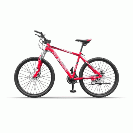 PRO-MOUNTAIN BIKE