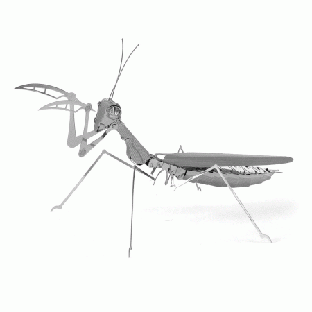 FASCINATIONS INC METAL EARTH MMS069 BUG