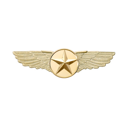 WINGS PILOT LARGE GOLD STAR EMBLEM (6.4CM)