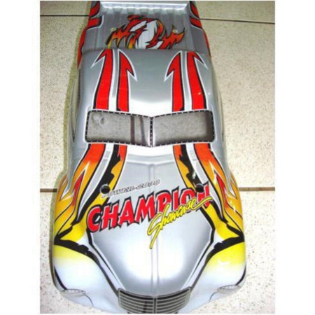 BOLHA 1/8 TRUCK PINTADA VARIAS CORES