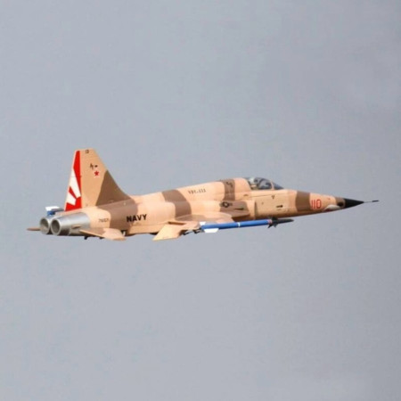 FW F-5E TIGER PNP DELUXE FJ20812P