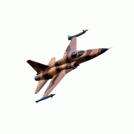 AVIAO FW F-5E 80MM DESERT CAMUFLADO PNP FJ20813P