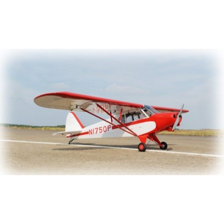 AVIAO PHOENIX PA-18 SUPER CUB 107